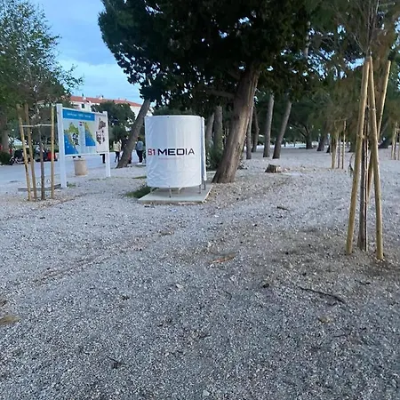 Penavic